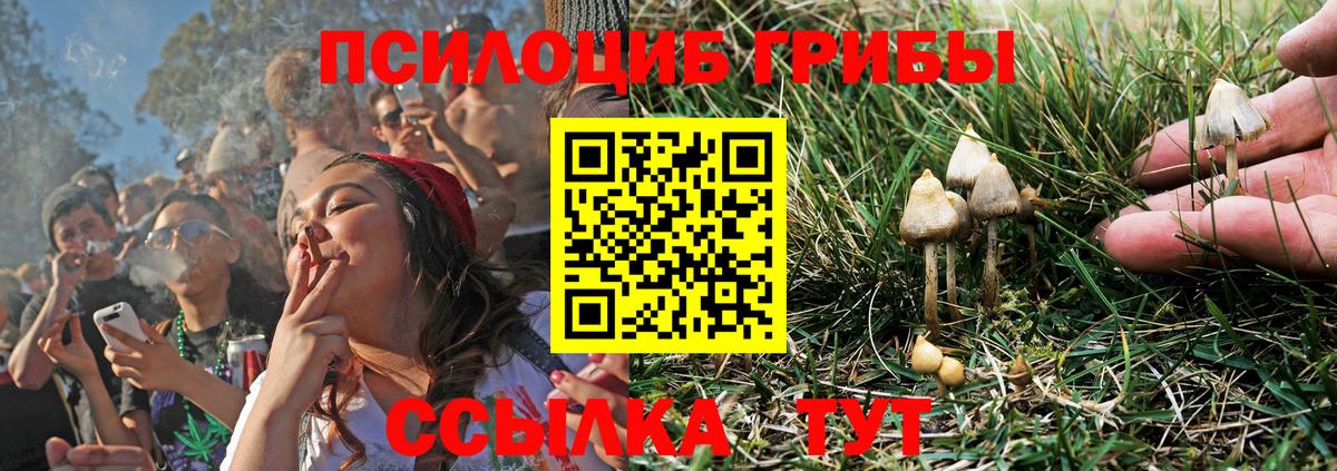 Галлюциногенные грибы MAGIC MUSHROOMS  Вход с VPN  где купить наркоту  Псилоцибиновые грибы Psilocybine cubensis  Петропавловск-Камчатский 